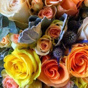 Meet your Posher, Living Well with Gratitude